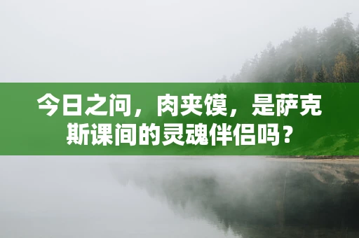 今日之问，肉夹馍，是萨克斯课间的灵魂伴侣吗？
