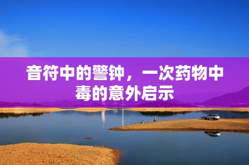 音符中的警钟，一次药物中毒的意外启示