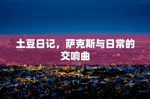 土豆日记，萨克斯与日常的交响曲