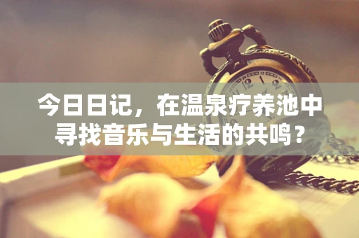 今日日记，在温泉疗养池中寻找音乐与生活的共鸣？