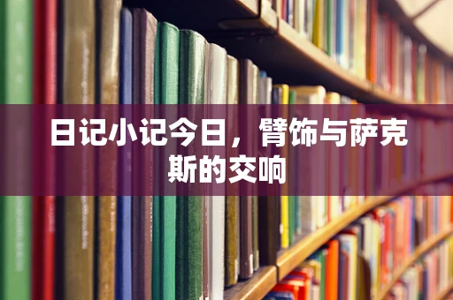 日记小记今日，臂饰与萨克斯的交响