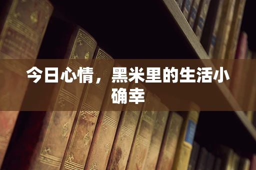 今日心情，黑米里的生活小确幸