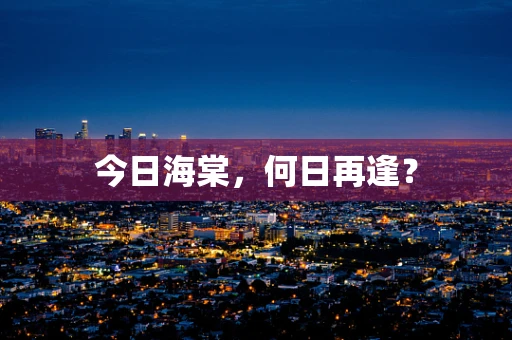 今日海棠，何日再逢？