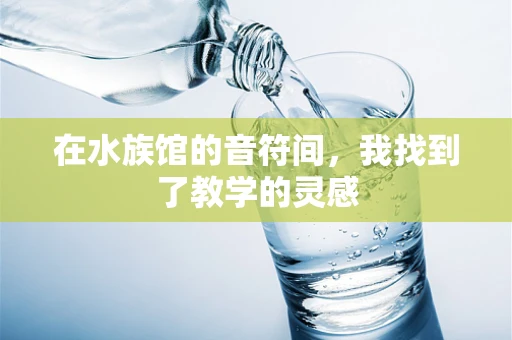 在水族馆的音符间，我找到了教学的灵感