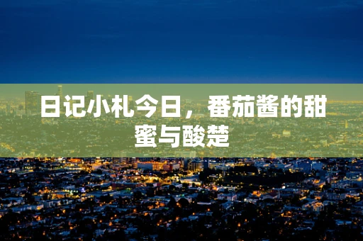 日记小札今日，番茄酱的甜蜜与酸楚