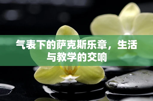 气表下的萨克斯乐章，生活与教学的交响
