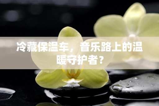 冷藏保温车，音乐路上的温暖守护者？