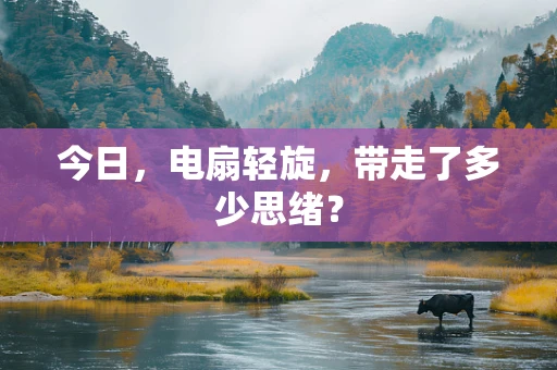 今日，电扇轻旋，带走了多少思绪？