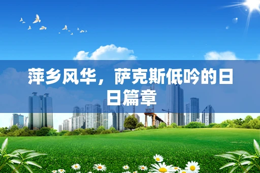 萍乡风华，萨克斯低吟的日日篇章