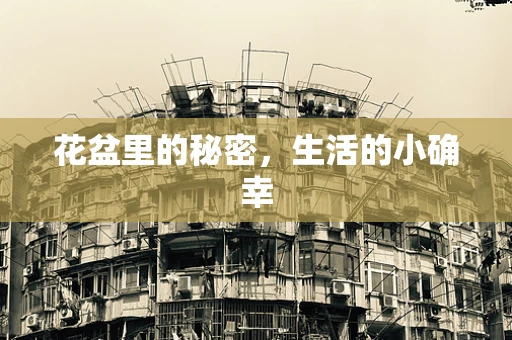 花盆里的秘密，生活的小确幸