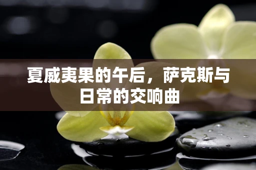夏威夷果的午后，萨克斯与日常的交响曲