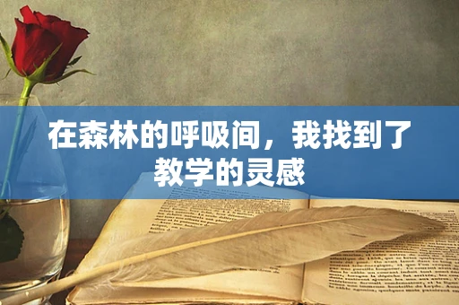 在森林的呼吸间，我找到了教学的灵感