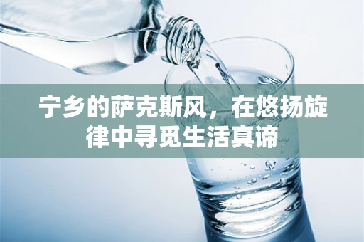 宁乡的萨克斯风，在悠扬旋律中寻觅生活真谛