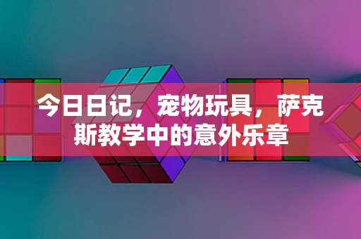 今日日记，宠物玩具，萨克斯教学中的意外乐章