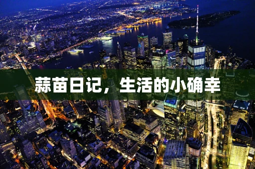蒜苗日记，生活的小确幸