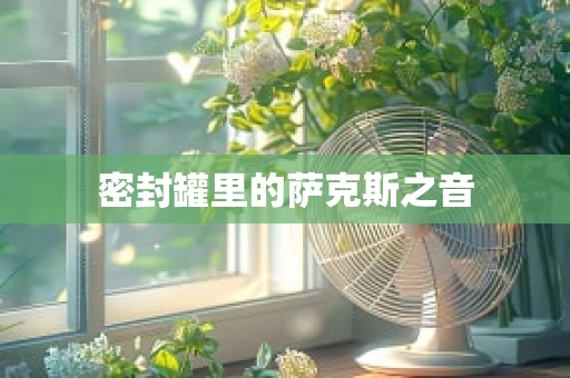 密封罐里的萨克斯之音