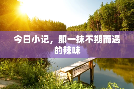 今日小记，那一抹不期而遇的辣味