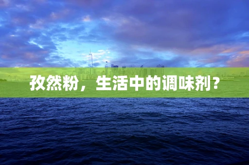 孜然粉，生活中的调味剂？