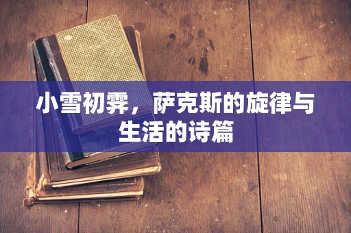 小雪初霁，萨克斯的旋律与生活的诗篇