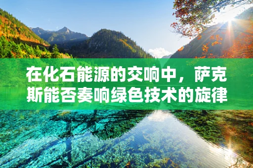在化石能源的交响中，萨克斯能否奏响绿色技术的旋律？