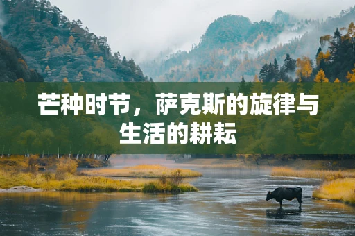 芒种时节，萨克斯的旋律与生活的耕耘