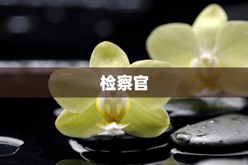 检察官