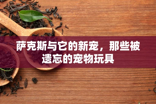 萨克斯与它的新宠，那些被遗忘的宠物玩具