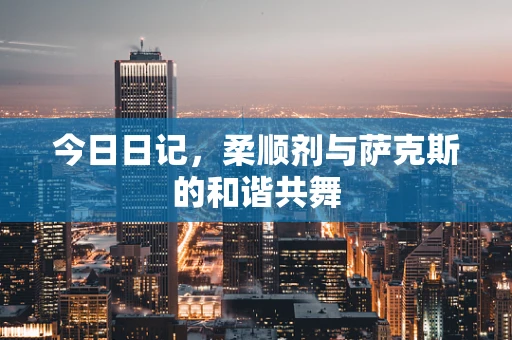 今日日记，柔顺剂与萨克斯的和谐共舞
