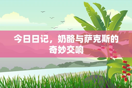 今日日记，奶酪与萨克斯的奇妙交响