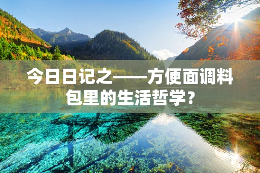今日日记之——方便面调料包里的生活哲学？