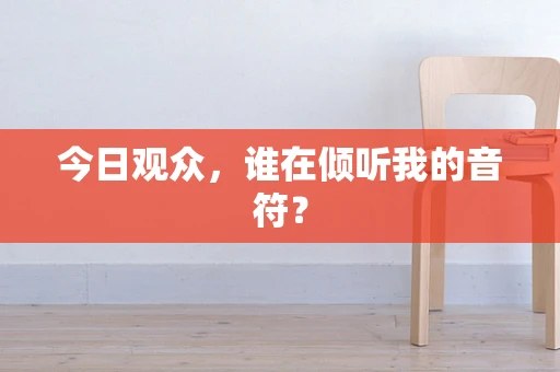 今日观众，谁在倾听我的音符？