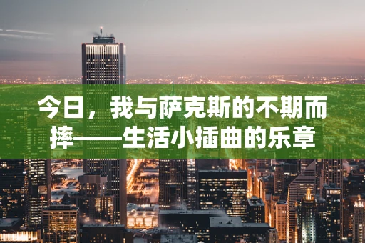 今日，我与萨克斯的不期而摔——生活小插曲的乐章