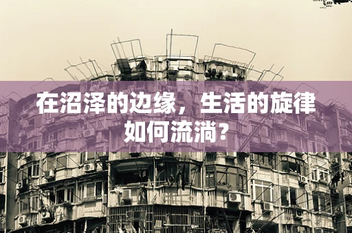 在沼泽的边缘，生活的旋律如何流淌？