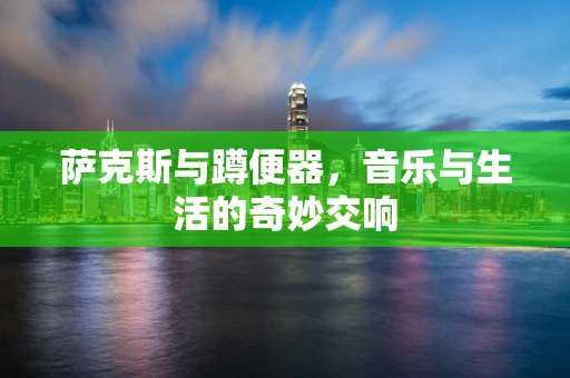 萨克斯与蹲便器，音乐与生活的奇妙交响
