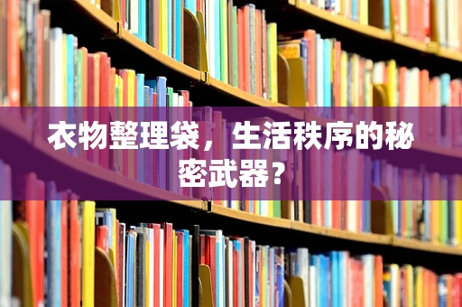 衣物整理袋，生活秩序的秘密武器？
