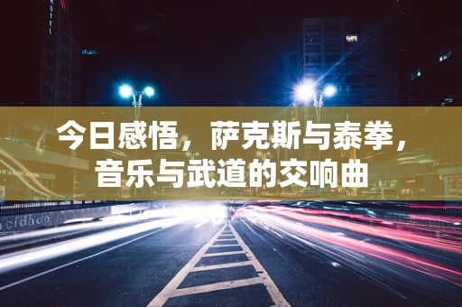 今日感悟，萨克斯与泰拳，音乐与武道的交响曲