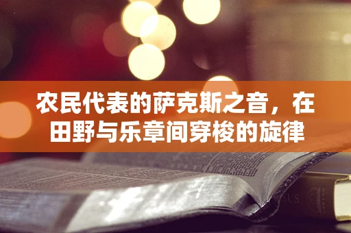 农民代表的萨克斯之音，在田野与乐章间穿梭的旋律