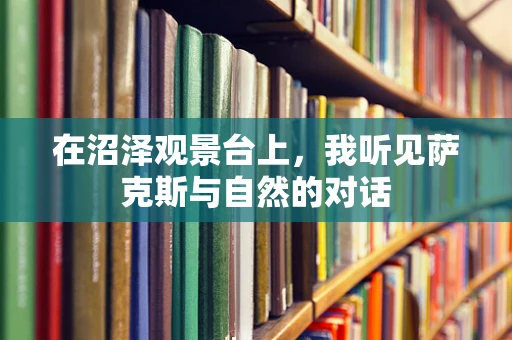 在沼泽观景台上，我听见萨克斯与自然的对话