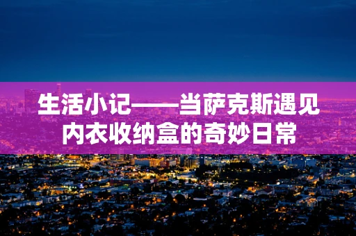 生活小记——当萨克斯遇见内衣收纳盒的奇妙日常