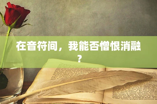 在音符间，我能否憎恨消融？