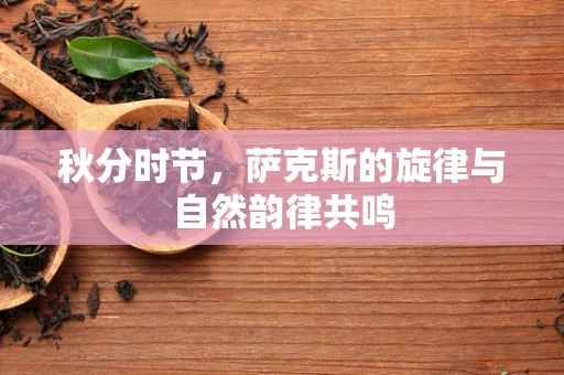 秋分时节，萨克斯的旋律与自然韵律共鸣