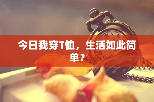 今日我穿T恤，生活如此简单？