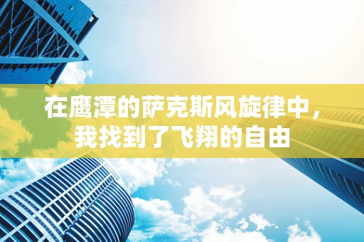在鹰潭的萨克斯风旋律中，我找到了飞翔的自由