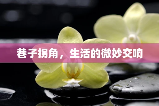 巷子拐角，生活的微妙交响