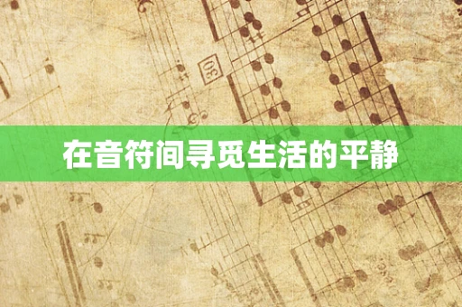 在音符间寻觅生活的平静