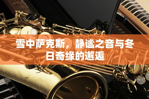 雪中萨克斯，静谧之音与冬日奇缘的邂逅