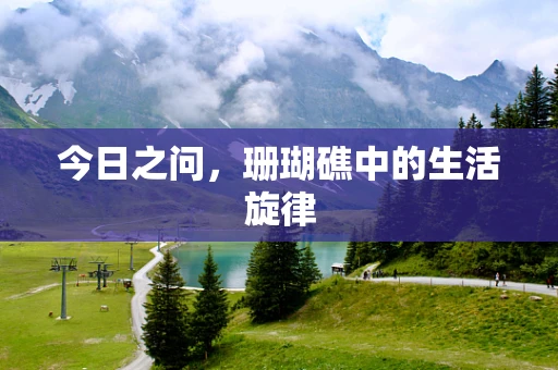 今日之问，珊瑚礁中的生活旋律