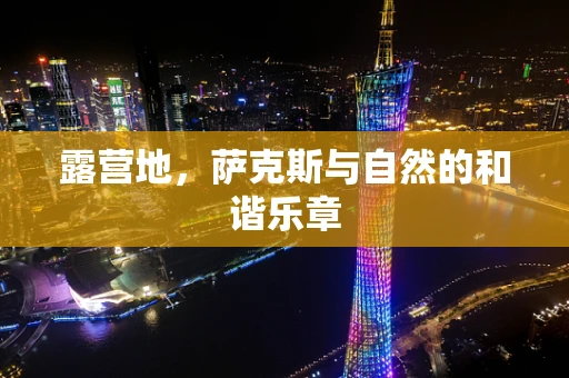 露营地，萨克斯与自然的和谐乐章