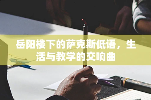岳阳楼下的萨克斯低语，生活与教学的交响曲