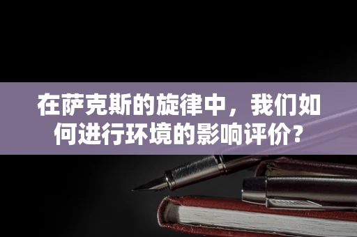在萨克斯的旋律中，我们如何进行环境的影响评价？